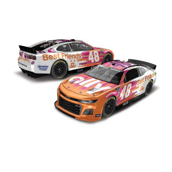 * DNP * 48 Alex Bowman, Ally Best Friends, 1/24 CUP 2023 HO COLOR CHROME