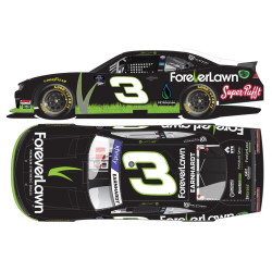 3 Jeffrey Earnhardt,...