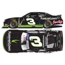 3 Jeffrey Earnhardt,...